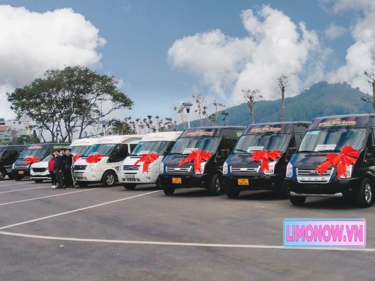 Đội xe VIP chuyên cơ mặt đất, gồm nhiều xe Ford Transit màu trắng và đen, với nơ đỏ trang trọng, sẵn sàng phục vụ khách hàng cao cấp.