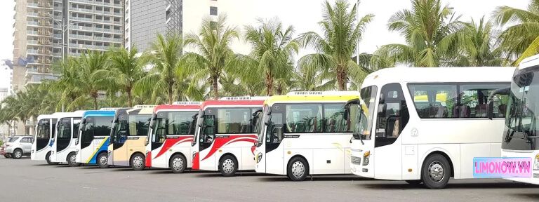 Dàn xe limousine, xe khách chất lượng cao đa dạng màu sắc