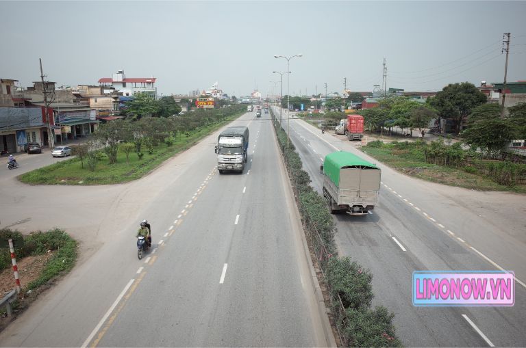 SEO Alt Text in Vietnamese