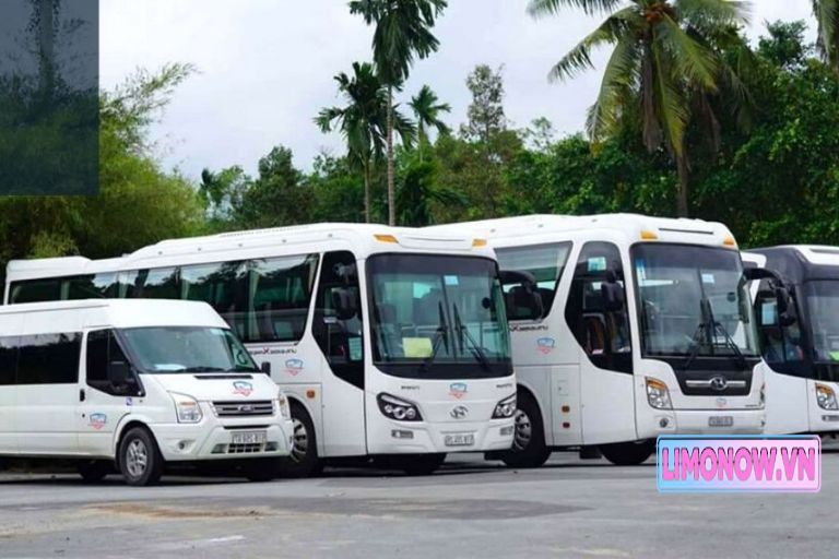 Đội xe Ford Transit limousine Duy Khánh màu trắng đậu trên phố, sẵn sàng phục vụ hành khách.