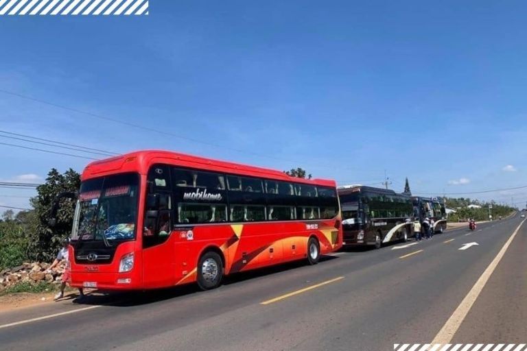 SEO Alt Text in Vietnamese