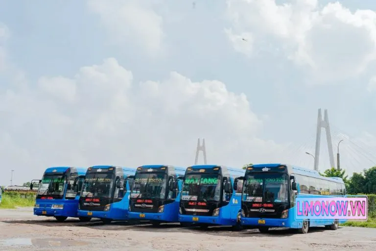 Dàn xe khách limousine giường nằm màu xanh của các nhà xe Thái Nguyên Yên Bái đậu tại bãi, với cầu dây văng phía sau.