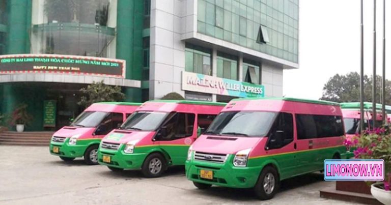 Xe limousine DCAR màu đen đậu trước sân bay Cát Bi