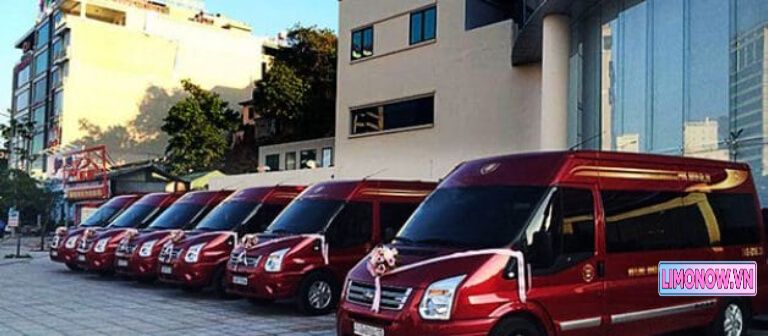 Dàn xe limousine DCar màu đen của Khang An đậu tại bãi