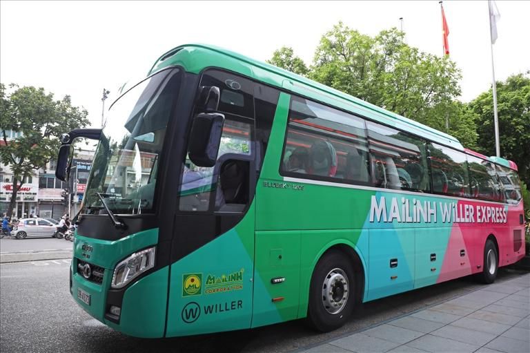 SEO Alt Text in Vietnamese