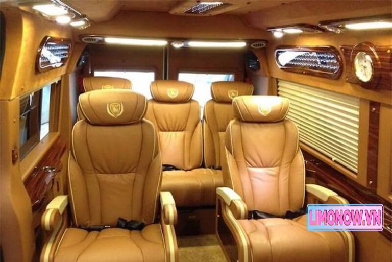 Xe limousine DCar President màu đen đậu bên hồ, dưới ánh nắng