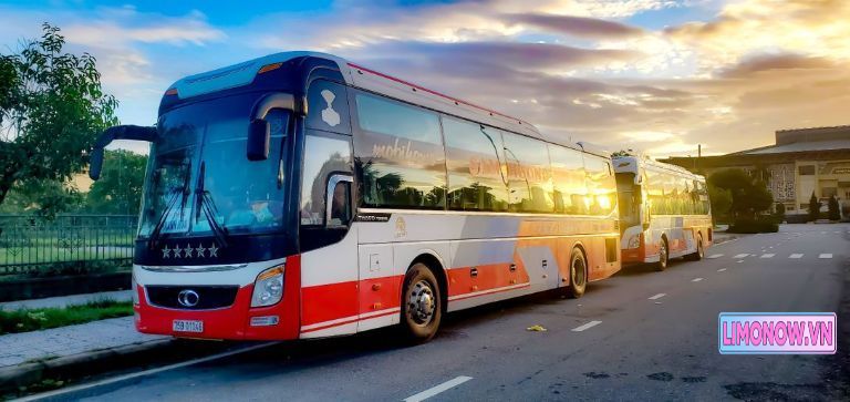 Dàn xe khách du lịch Limousine nhiều màu sắc của Thảo Nguyên đang đỗ tại bãi